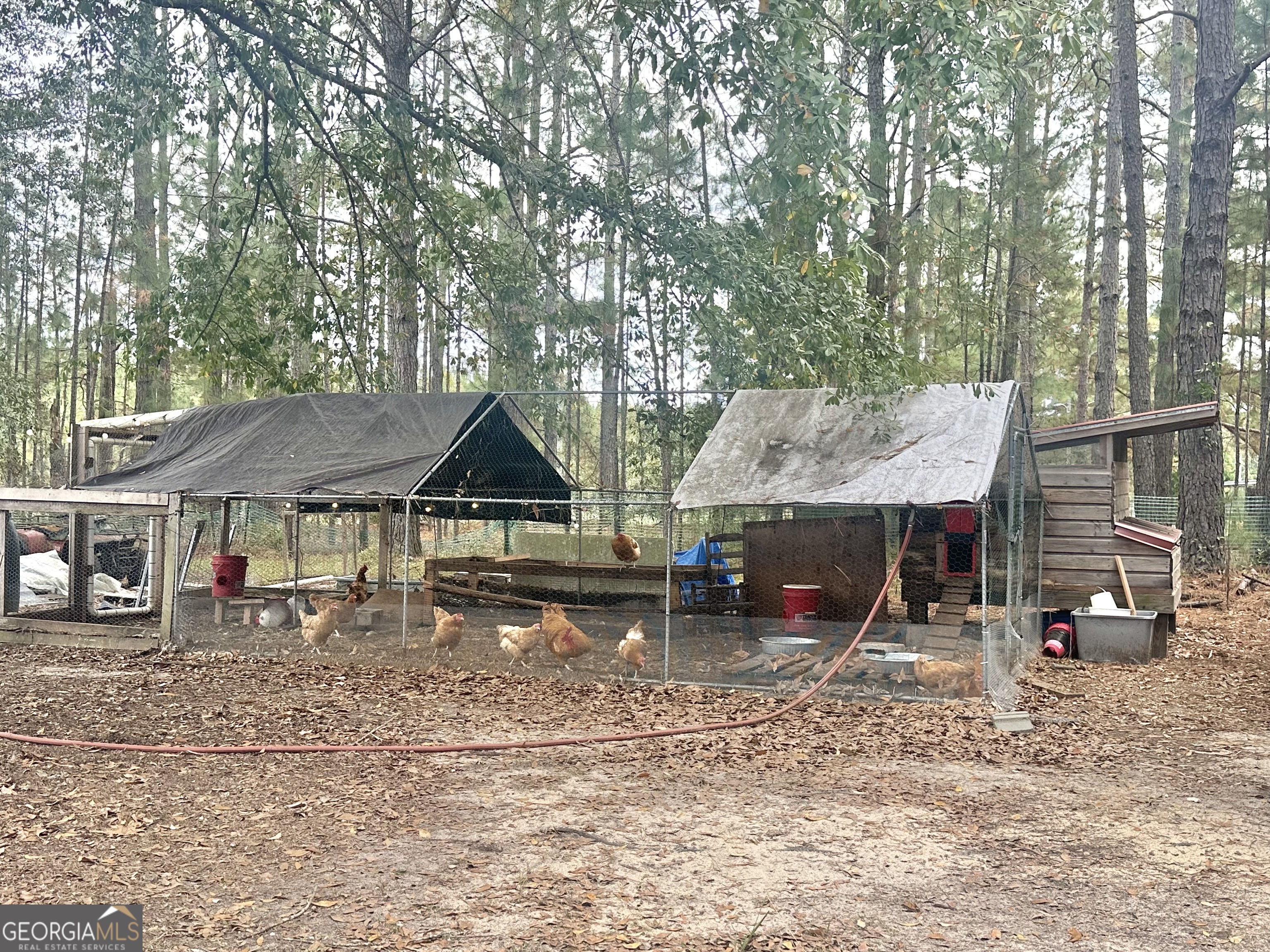 251 Bill Hambrick Road Eastman, GA 31023 - Photo 9 of 32 an outdoor space with lots of green space