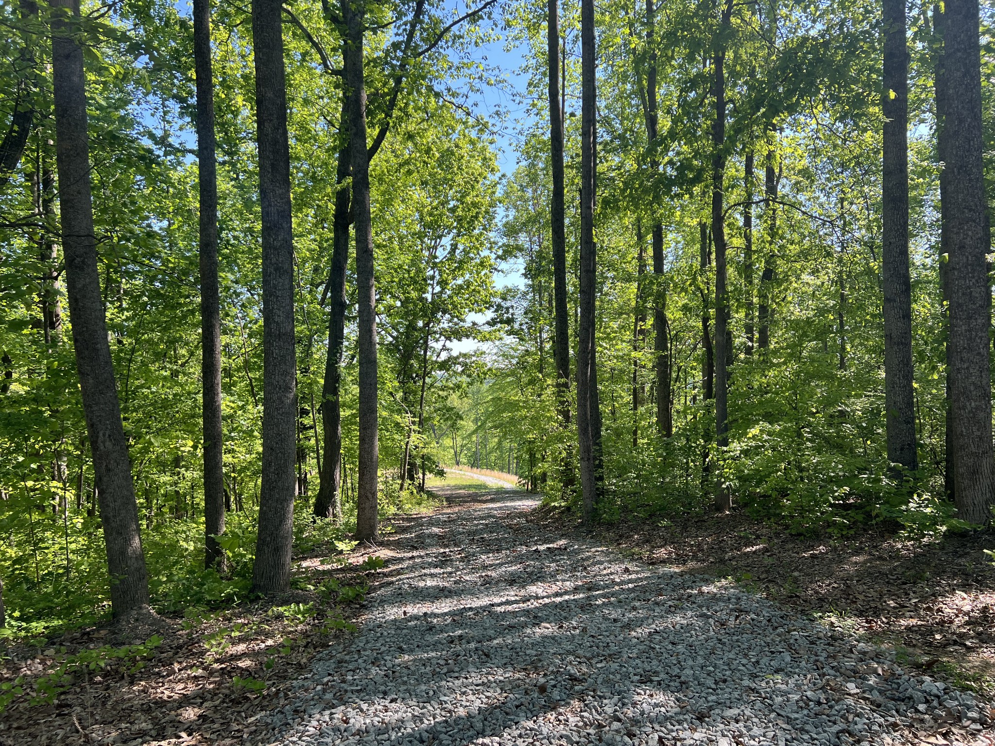 1063 Paiute Trail Pegram, TN 37143 - Photo 4 of 12 a view of outdoor space and yard