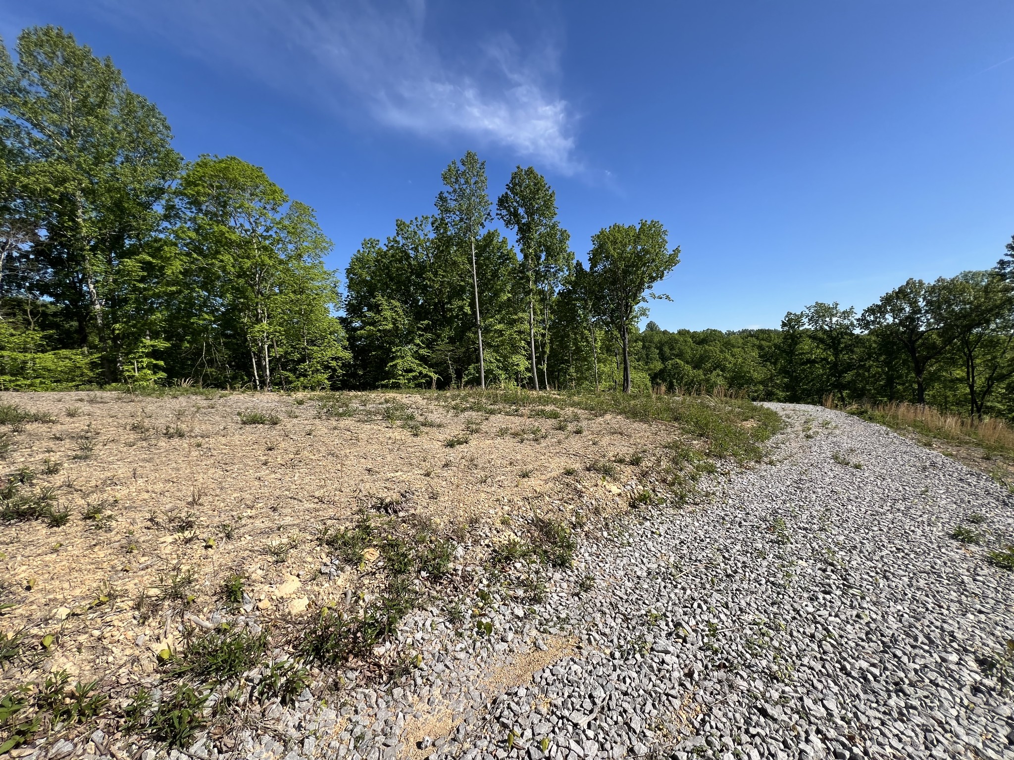 1063 Paiute Trail Pegram, TN 37143 - Photo 6 of 12 a view of a yard