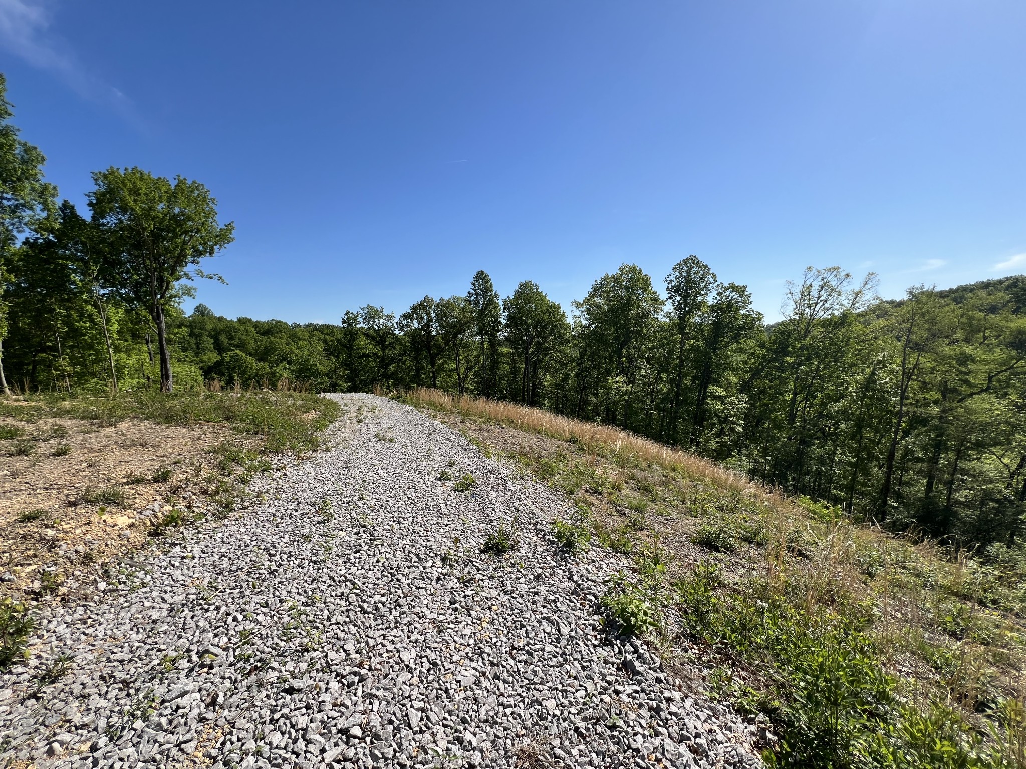 1063 Paiute Trail Pegram, TN 37143 - Photo 7 of 12 a view of a yard with a tree