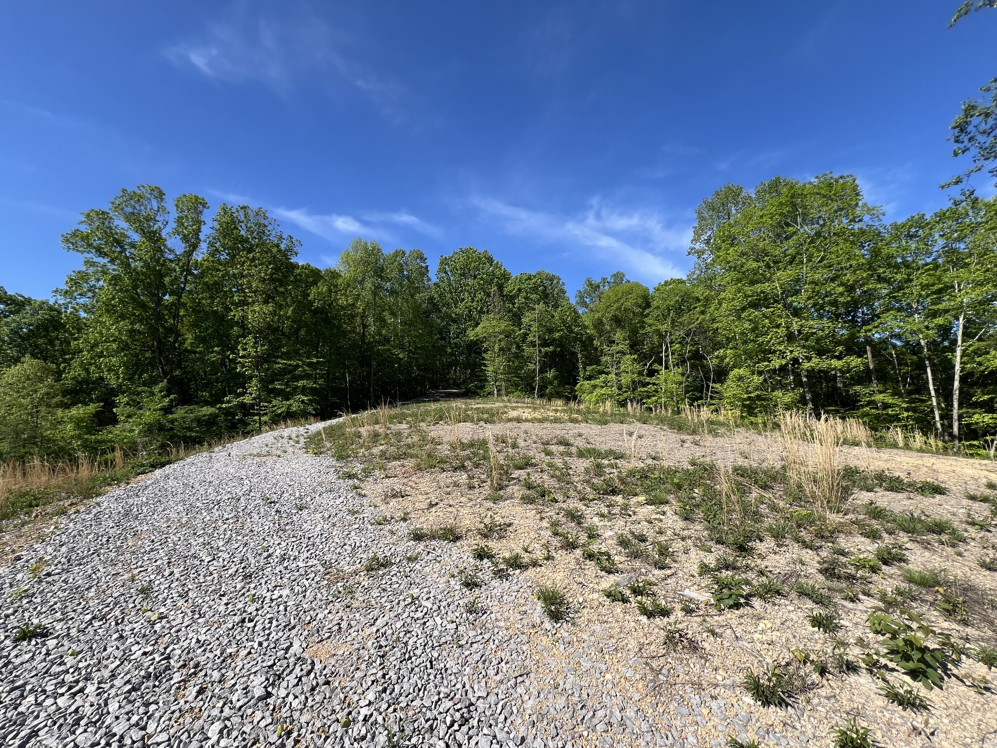 1063 Paiute Trail Pegram, TN 37143 - Photo 8 of 12 a view of a yard with a tree