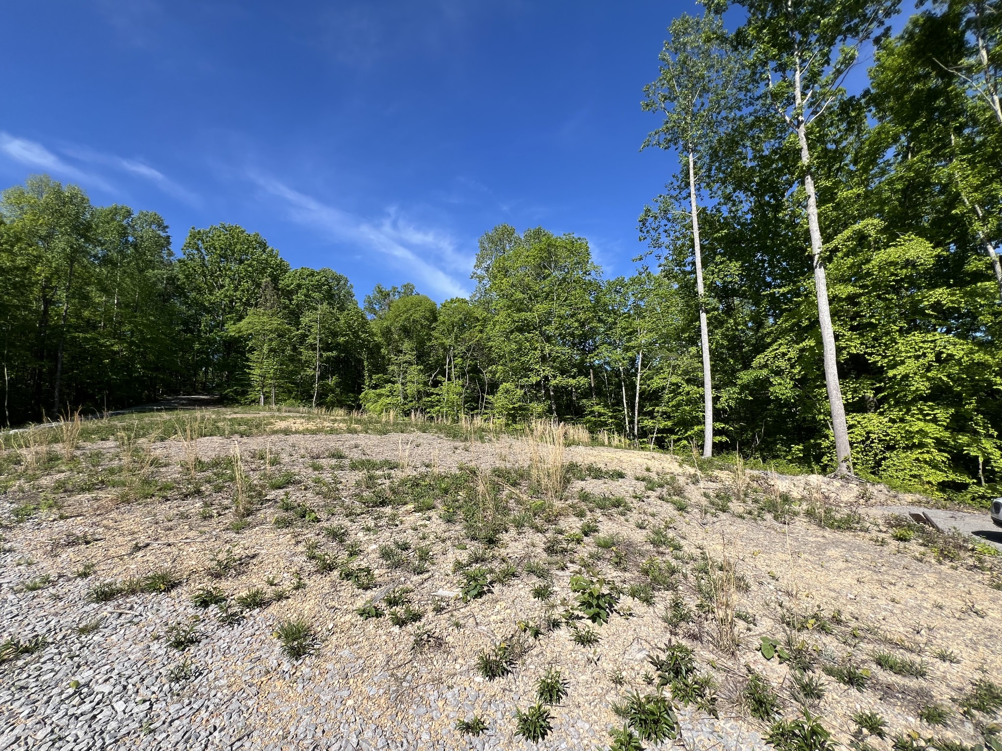 1063 Paiute Trail Pegram, TN 37143 - Photo 9 of 12 a view of a yard with plants and trees