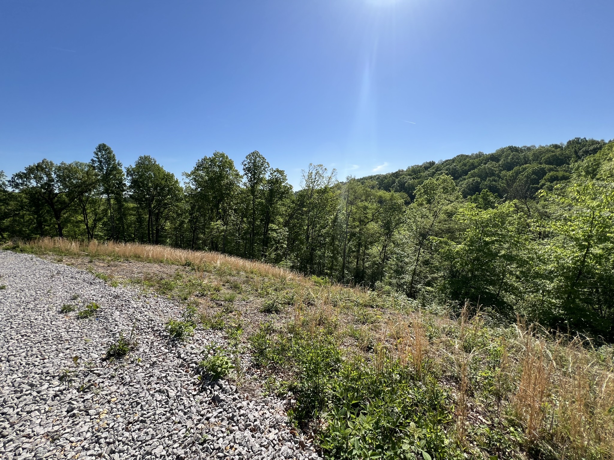 1063 Paiute Trail Pegram, TN 37143 - Photo 10 of 12 a view of a forest with a tree in the background