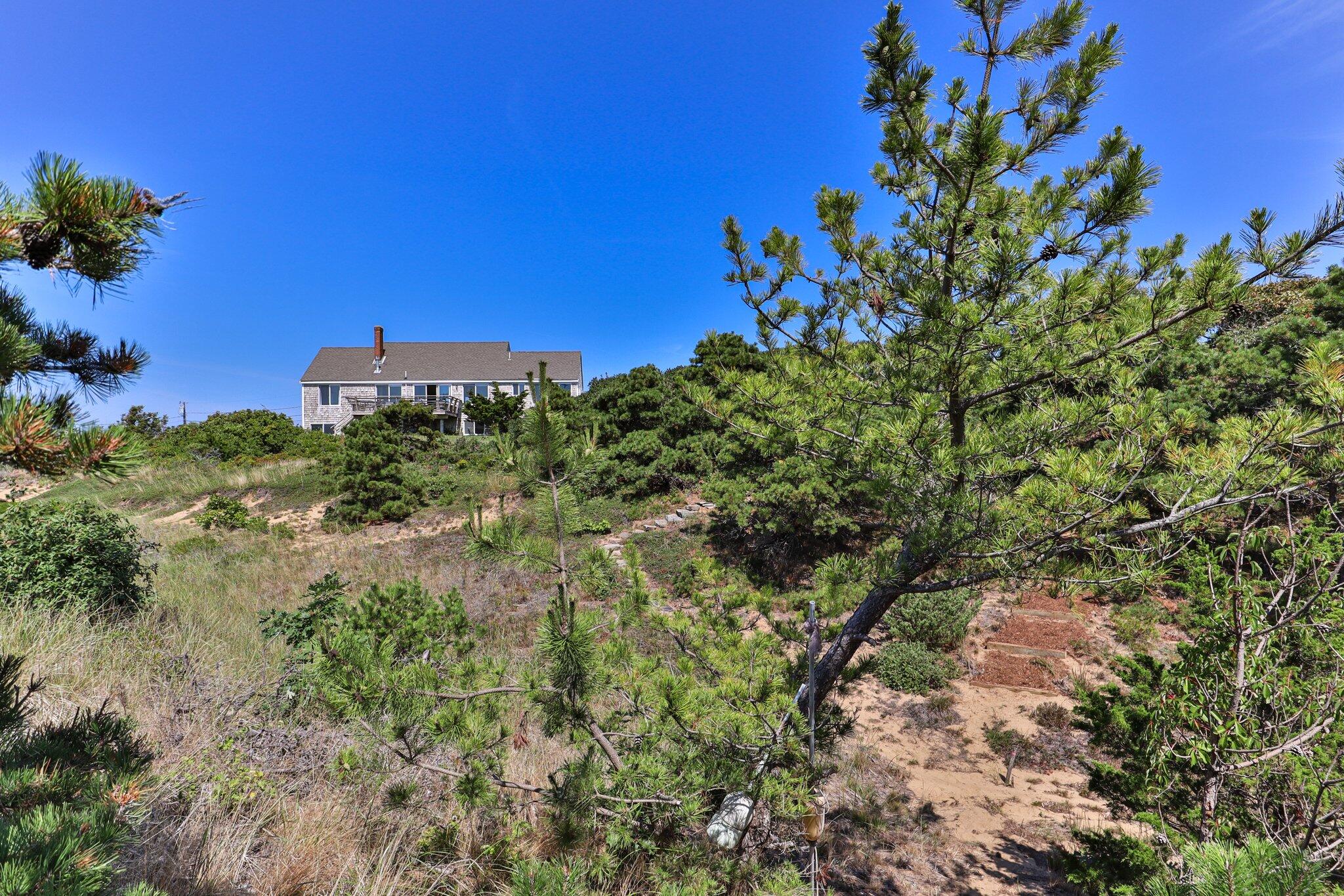 12 Twine Field Road Truro, MA 02666 - Photo 23 of 25 a view of a tree with a tree