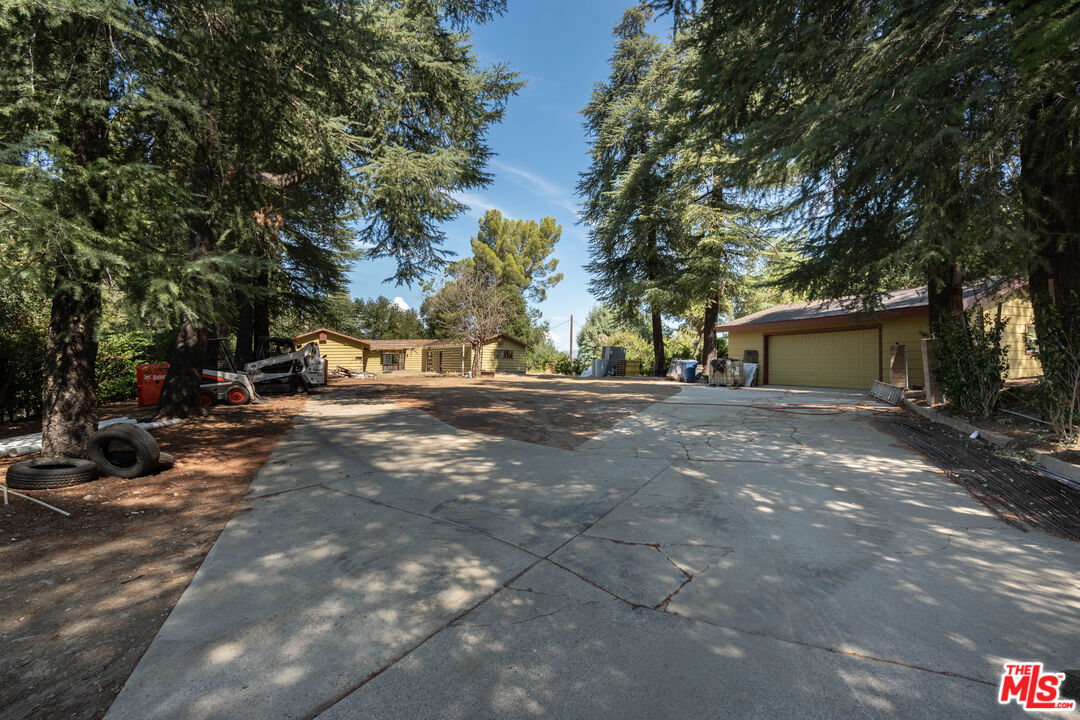 a view of road and trees
