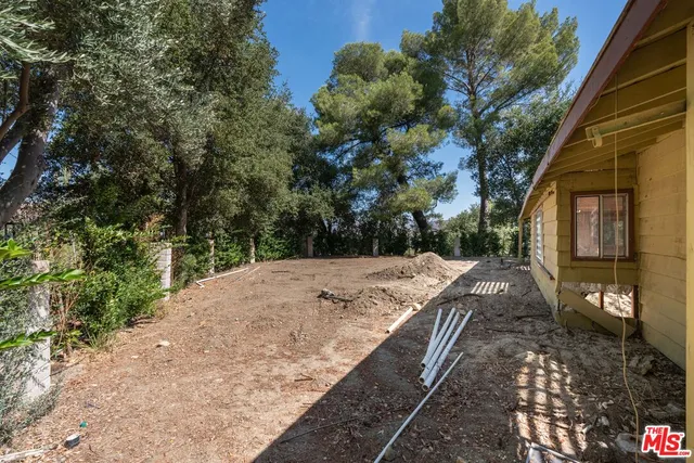 a view of a yard with plants and trees