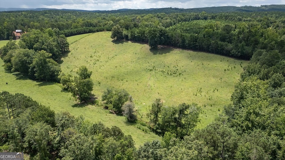 0 County Road 19 Heflin, AL 36264 - Photo 25 of 36