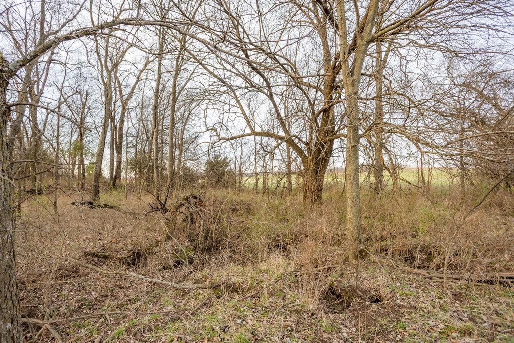 3043 East Zodiac Road Bronaugh, MO 64728 - Photo 29 of 37