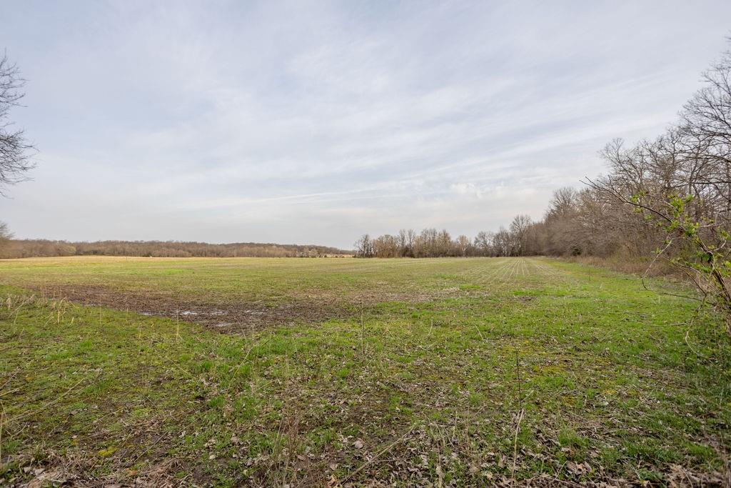 3043 East Zodiac Road Bronaugh, MO 64728 - Photo 31 of 37