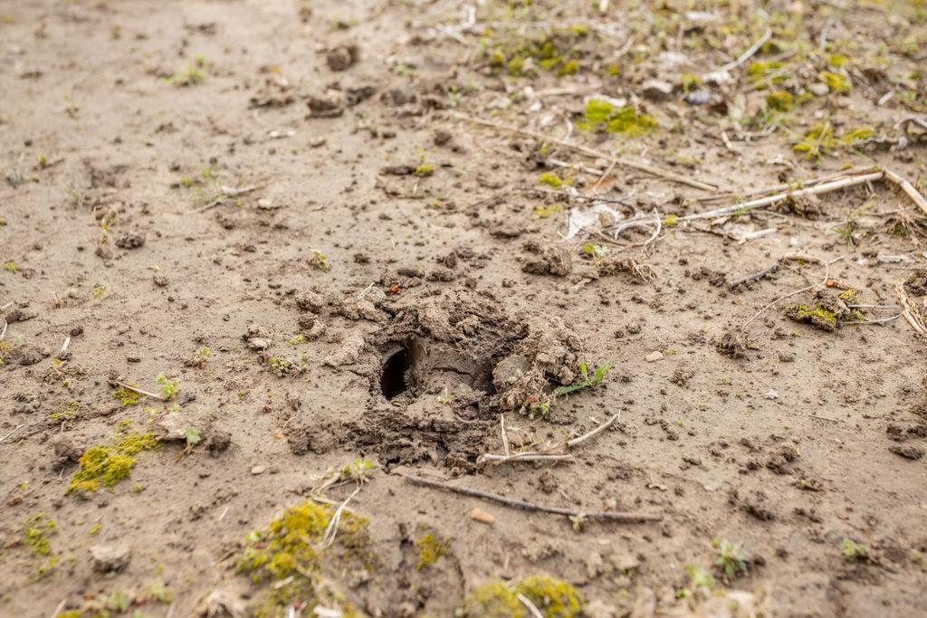 3043 East Zodiac Road Bronaugh, MO 64728 - Photo 32 of 37