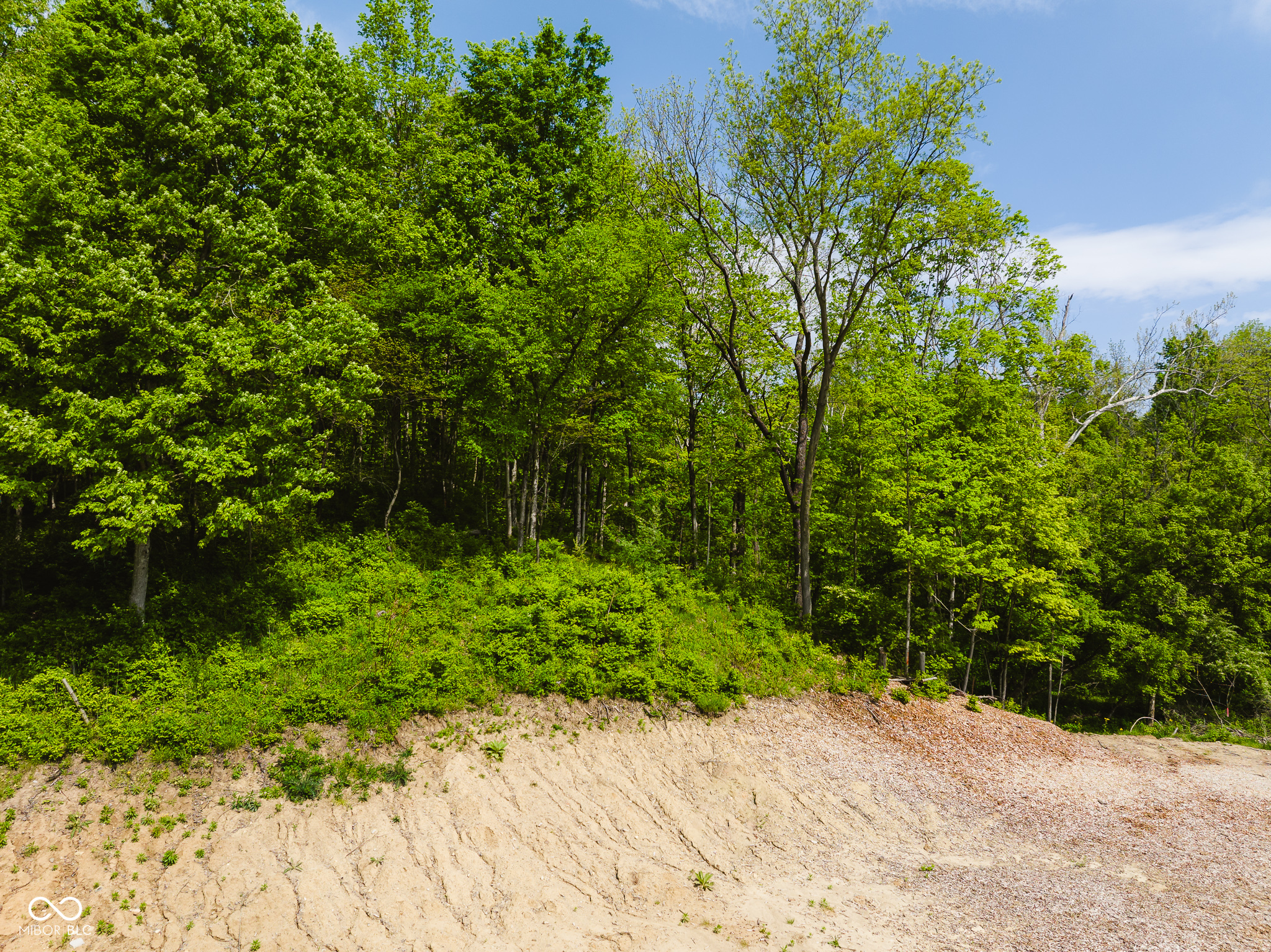 9602 Fall Creek Road Indianapolis, IN 46256 - Photo 13 of 15