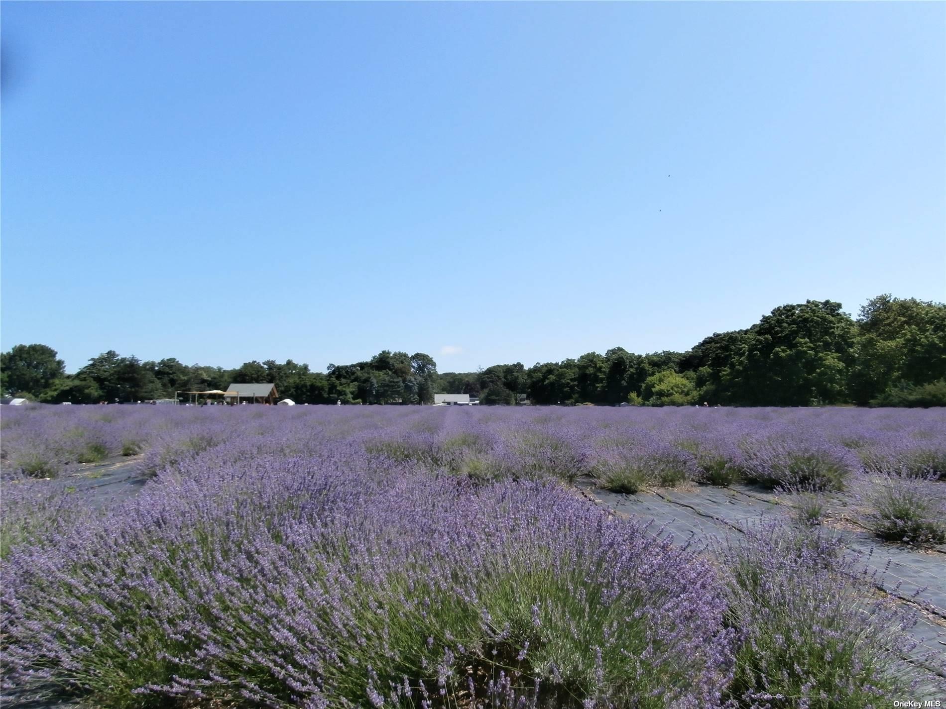 3670 Rocky Point Road East Marion, NY 11939 - Photo 25 of 26 a view of lake and outdoor space
