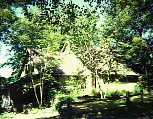a view of a yard