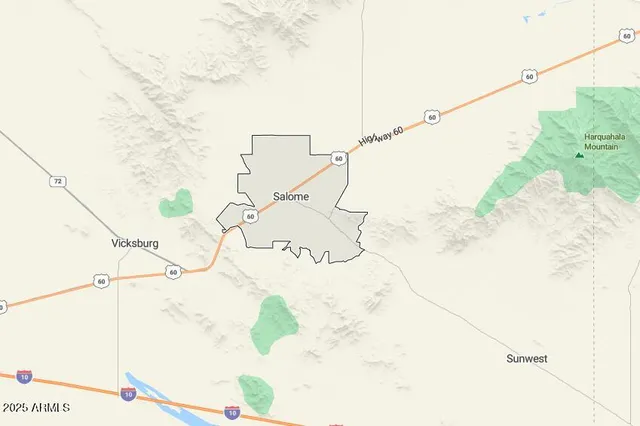 a picture of white wall with a plant on it