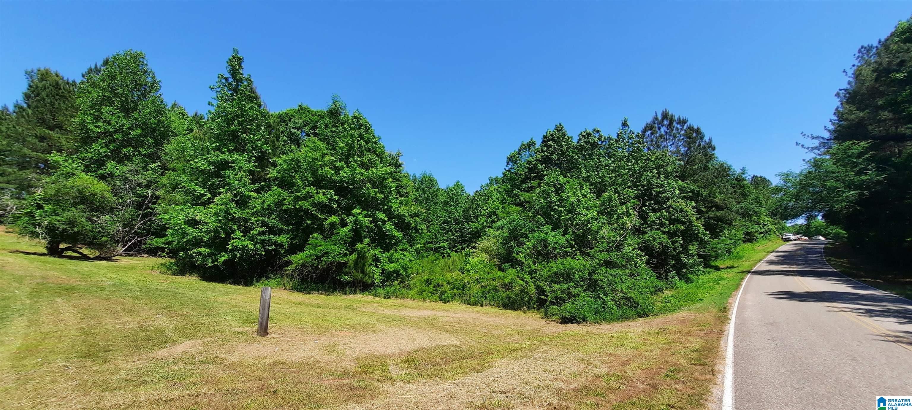 10778 County Road 19 Heflin, AL 36264 - Photo 18 of 41