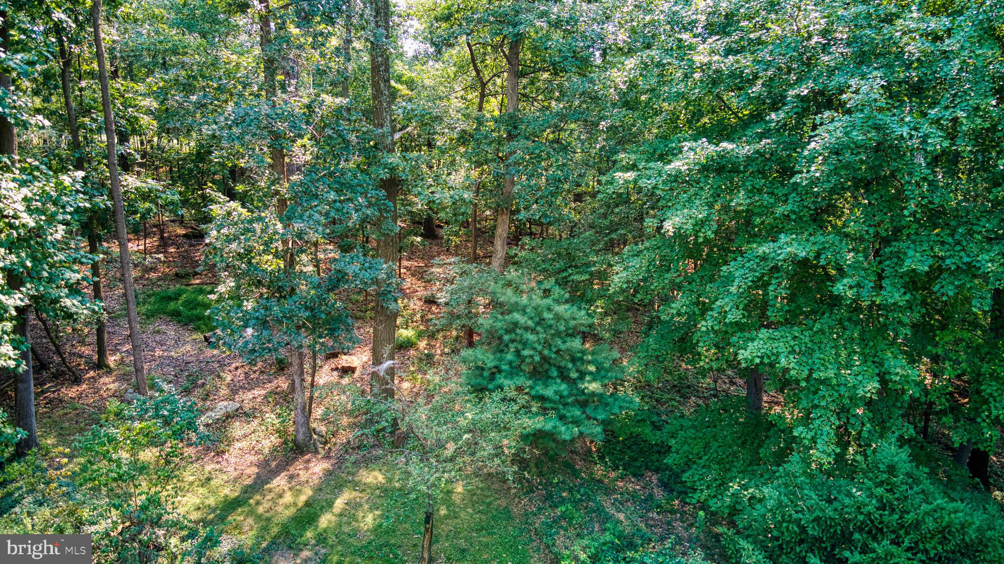 1803 Harvey Yingling Road Manchester, MD 21102 - Photo 25 of 30 Your own private park like setting!