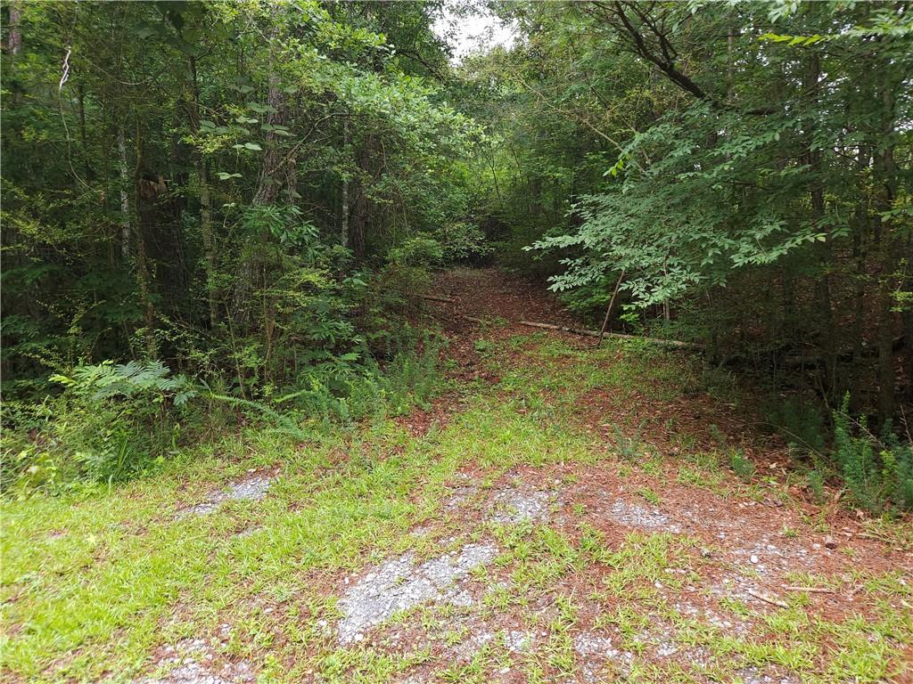 0 Potash Road Cedartown, GA 30125 - Photo 3 of 15
