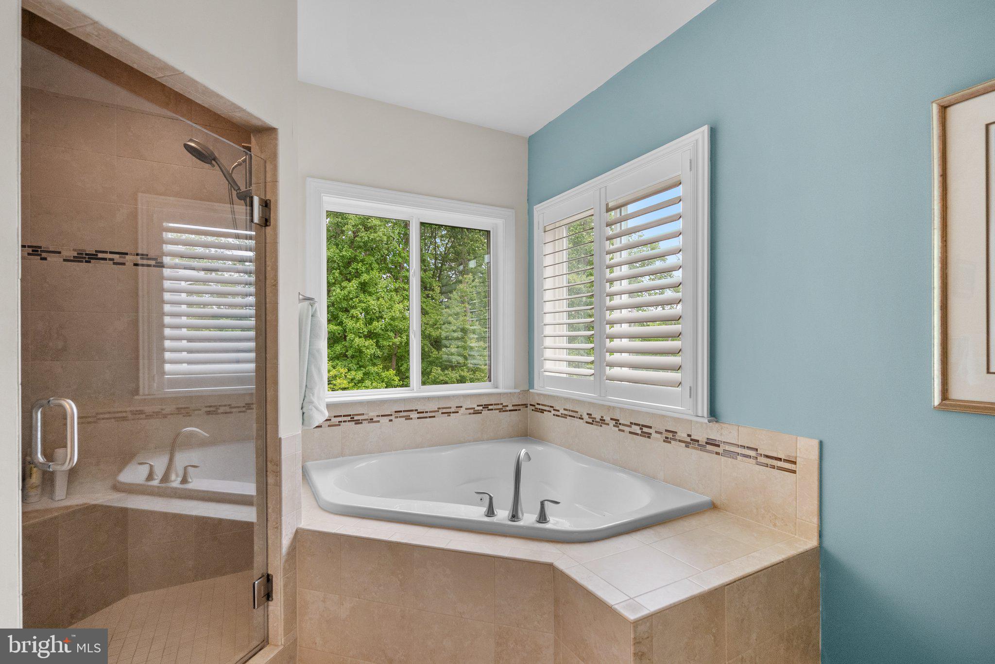 161 Moore Road Arnold, MD 21012 - Photo 28 of 57 a bath tub sitting in a bathroom next to a window