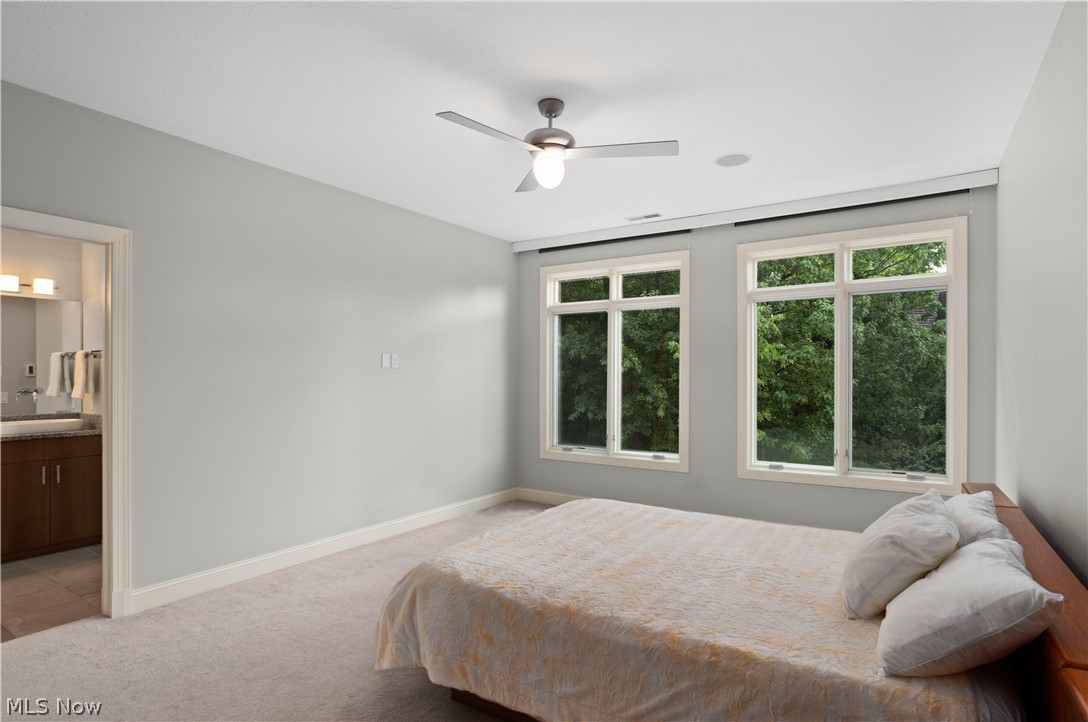 12480 Cedar Road, Unit 14 Cleveland, OH 44106 - Photo 16 of 35 Treetop views from master bedroom