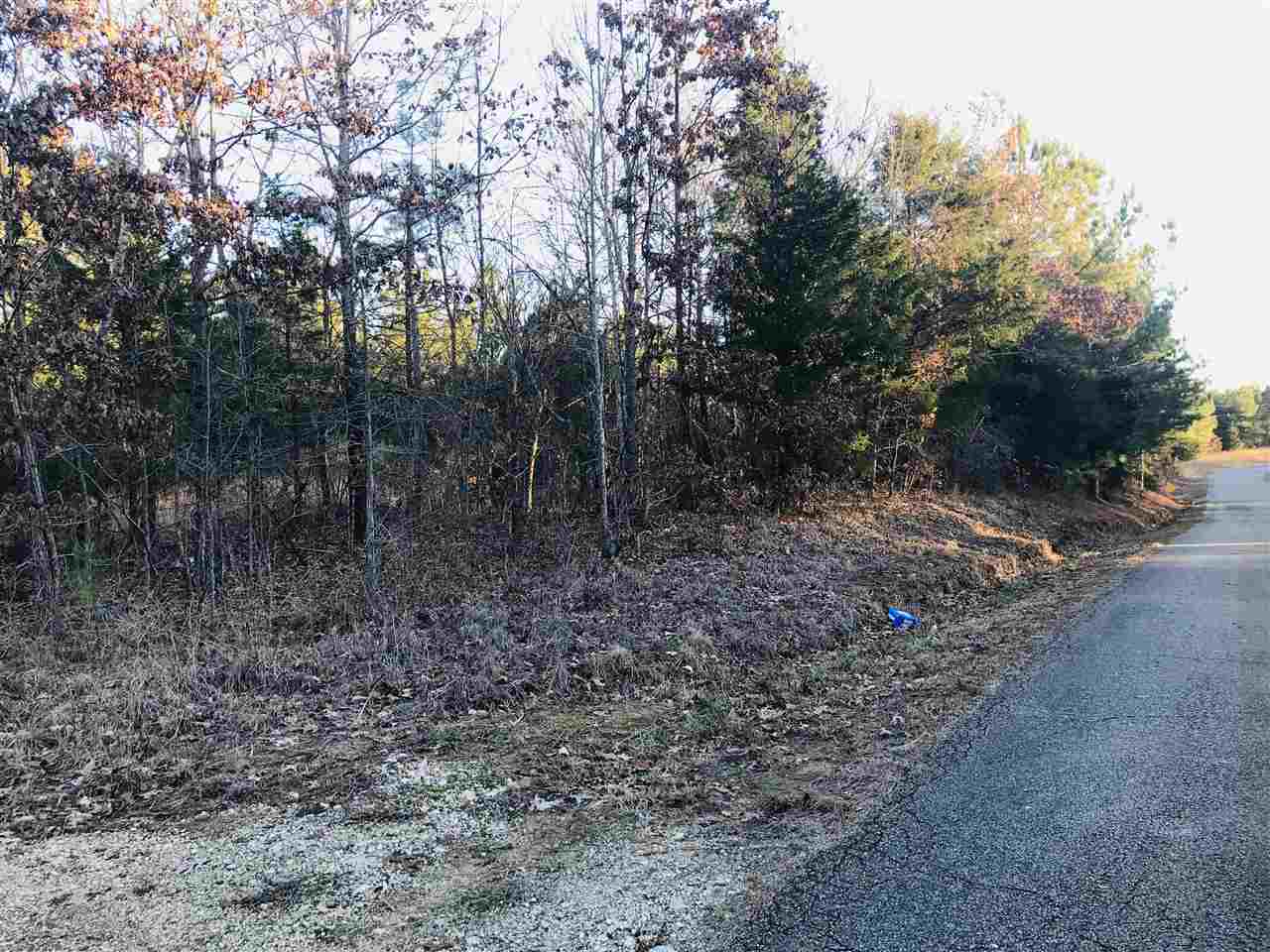 0 Centerpoint Road Reagan, TN 38368 - Photo 11 of 24