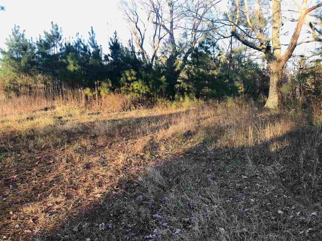 0 Centerpoint Road Reagan, TN 38368 - Photo 12 of 24