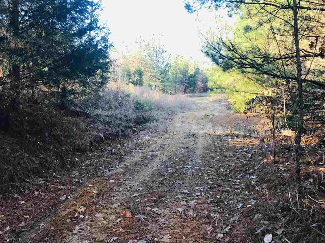 0 Centerpoint Road Reagan, TN 38368 - Photo 13 of 24