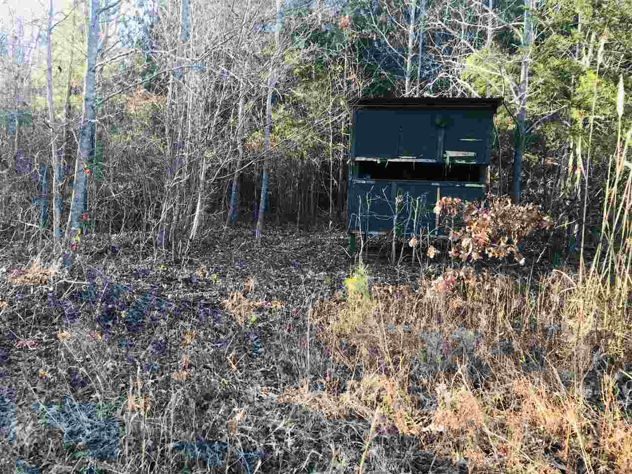0 Centerpoint Road Reagan, TN 38368 - Photo 3 of 24