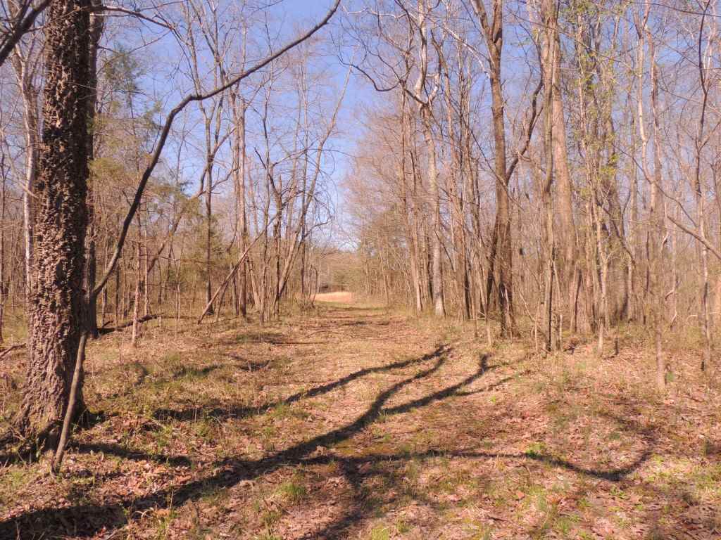 0 Centerpoint Road Reagan, TN 38368 - Photo 21 of 24