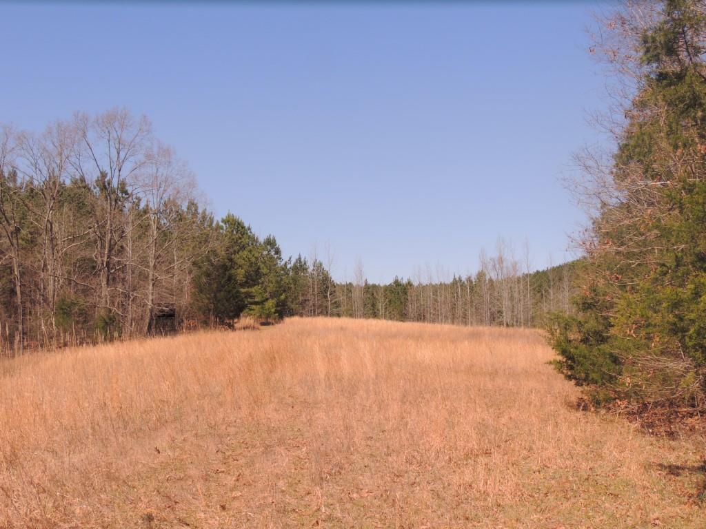 0 Centerpoint Road Reagan, TN 38368 - Photo 22 of 24