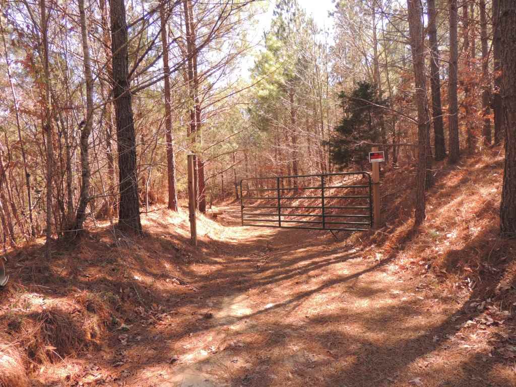 0 Centerpoint Road Reagan, TN 38368 - Photo 24 of 24