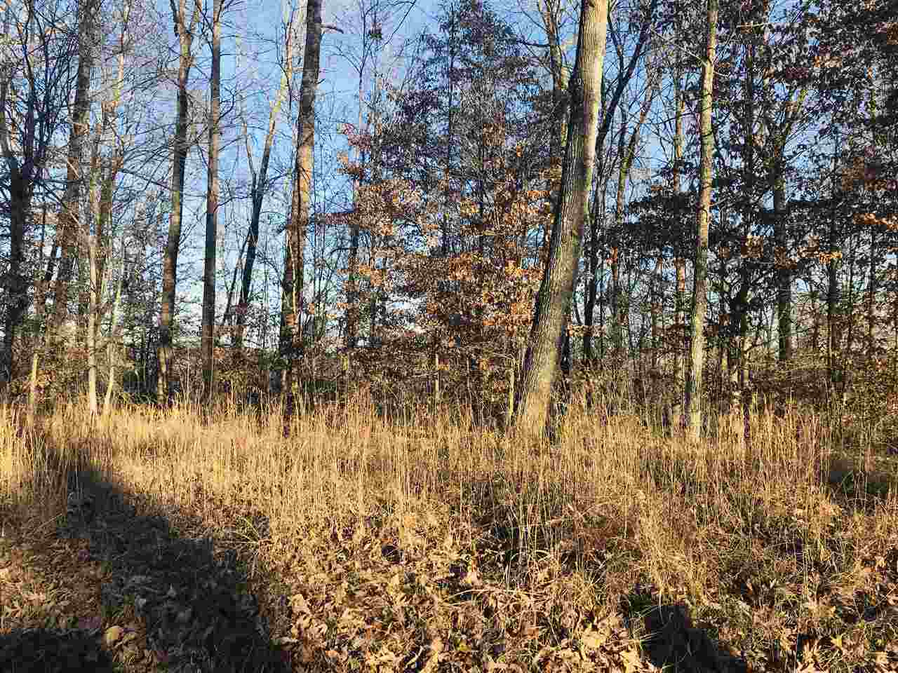 0 Centerpoint Road Reagan, TN 38368 - Photo 5 of 24