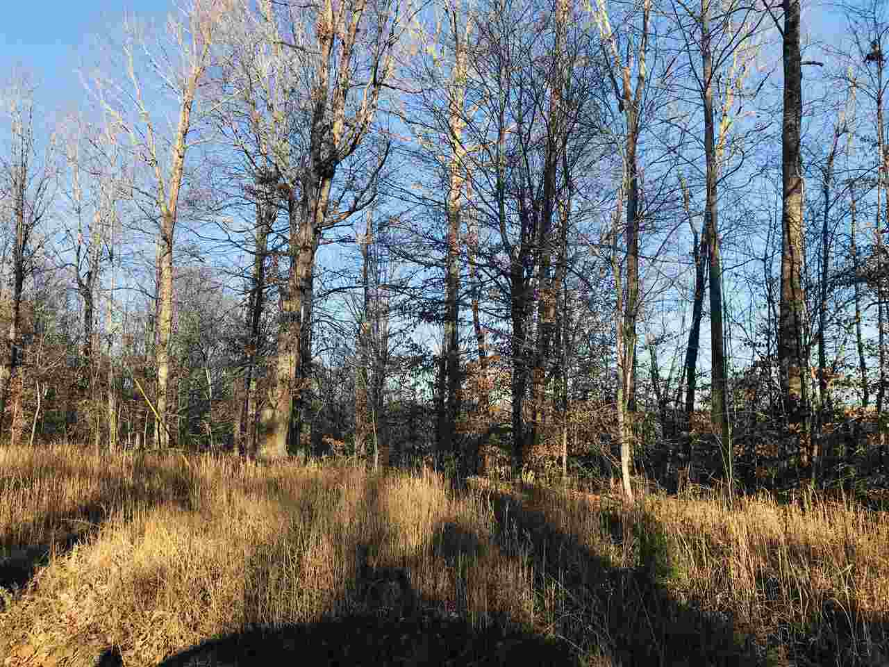 0 Centerpoint Road Reagan, TN 38368 - Photo 6 of 24
