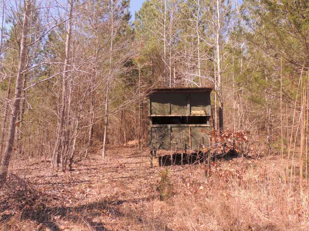 0 Centerpoint Road Reagan, TN 38368 - Photo 7 of 24