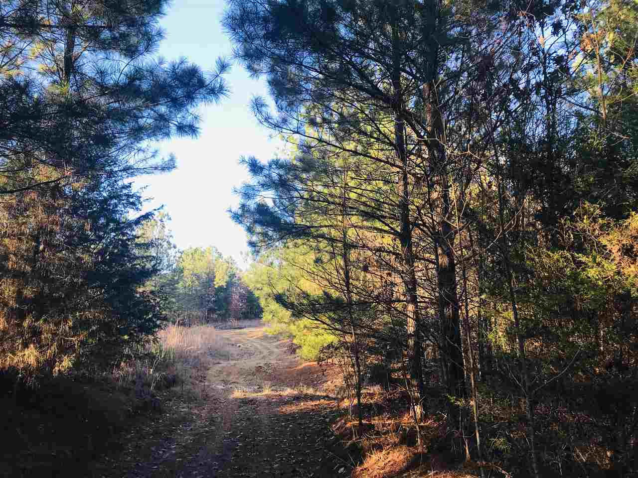 0 Centerpoint Road Reagan, TN 38368 - Photo 8 of 24