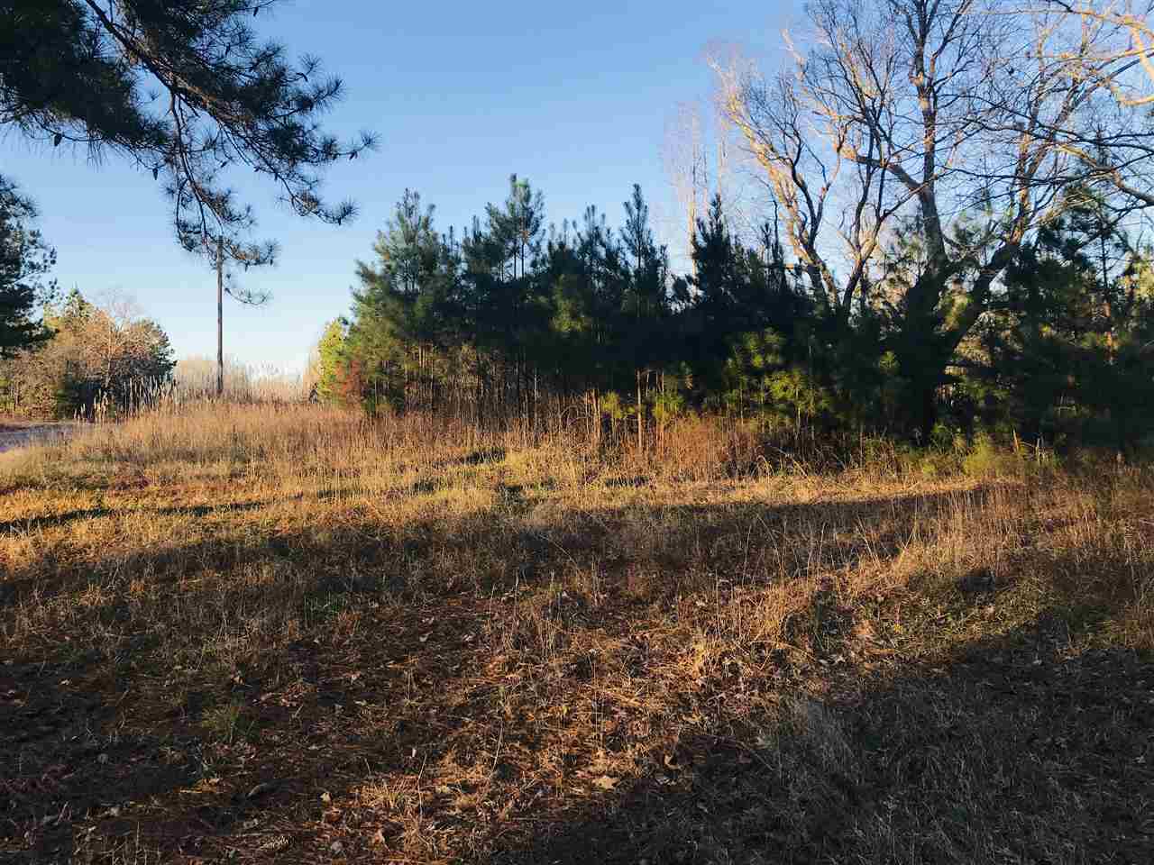 0 Centerpoint Road Reagan, TN 38368 - Photo 10 of 24