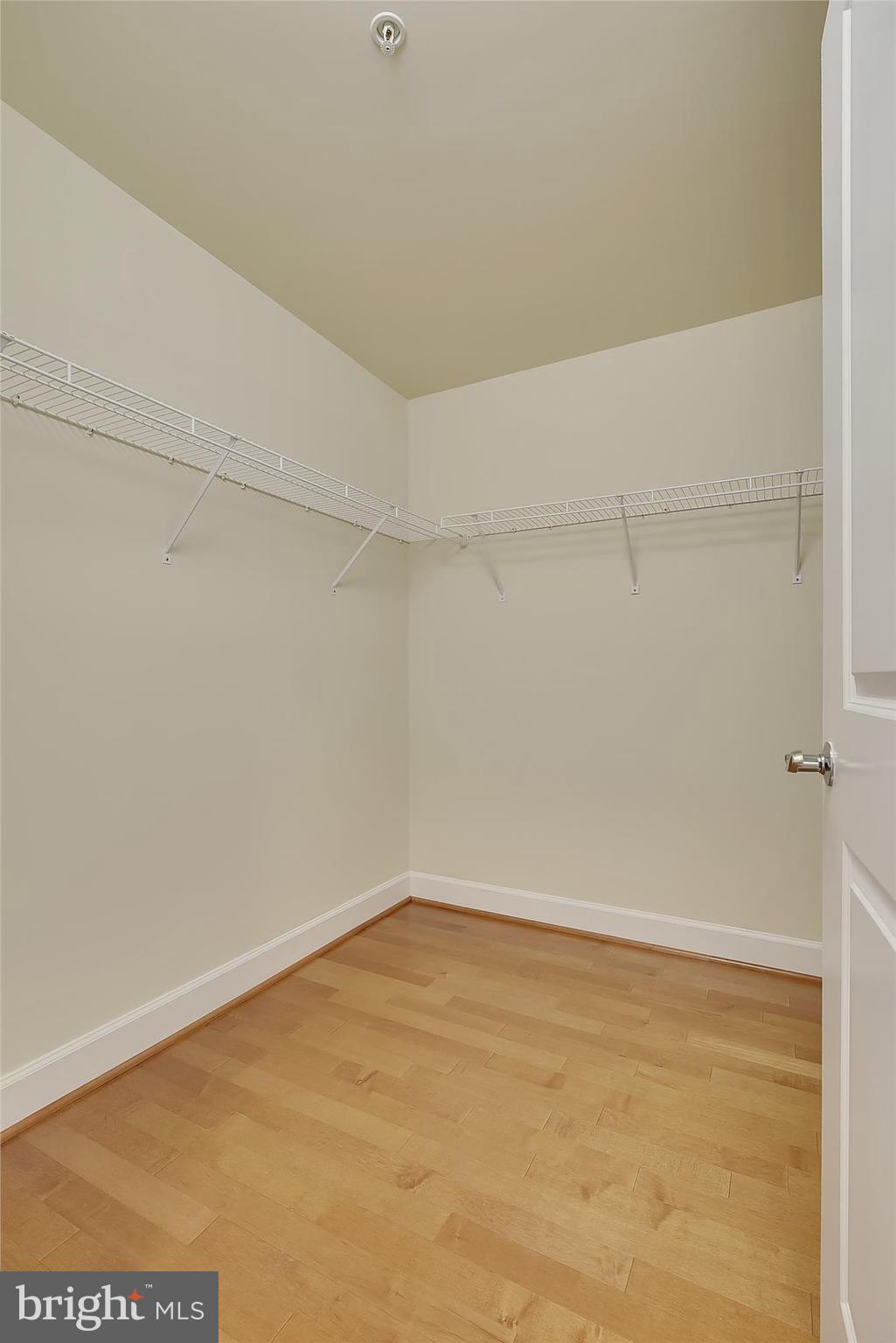 3600 South Glebe Road, Unit 718W Arlington, VA 22202 - Photo 15 of 28 Large Walk-In Closet