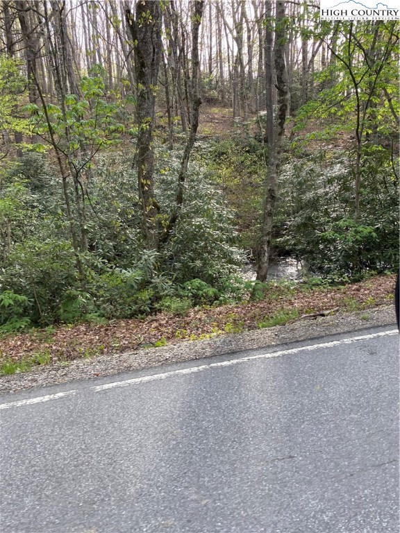 187 Big Hill Road Boone, NC 28607 - Photo 2 of 9