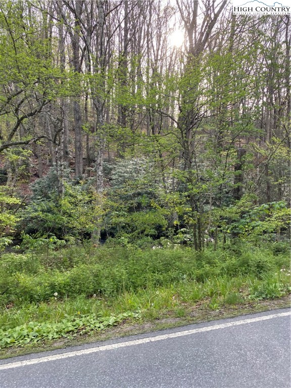 187 Big Hill Road Boone, NC 28607 - Photo 3 of 9