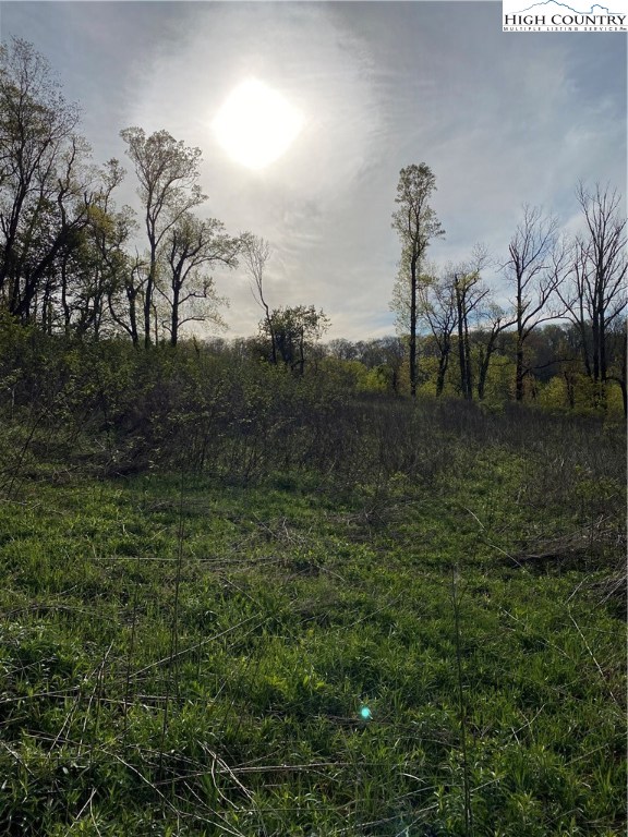 187 Big Hill Road Boone, NC 28607 - Photo 4 of 9