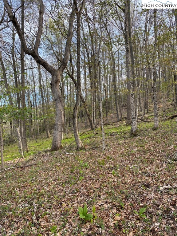 187 Big Hill Road Boone, NC 28607 - Photo 5 of 9