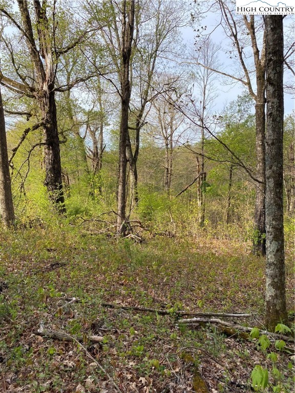 187 Big Hill Road Boone, NC 28607 - Photo 6 of 9