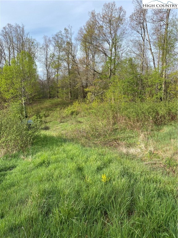 187 Big Hill Road Boone, NC 28607 - Photo 9 of 9