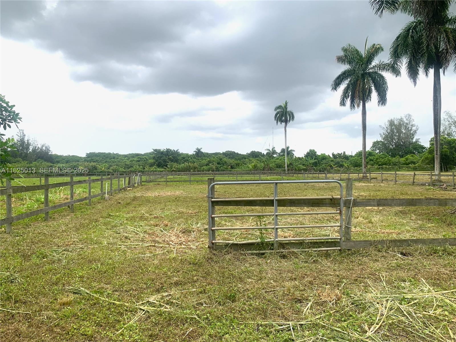 22750 Southwest 154th Avenue Miami, FL 33170 - Photo 21 of 37 a view of a lake with a big yard
