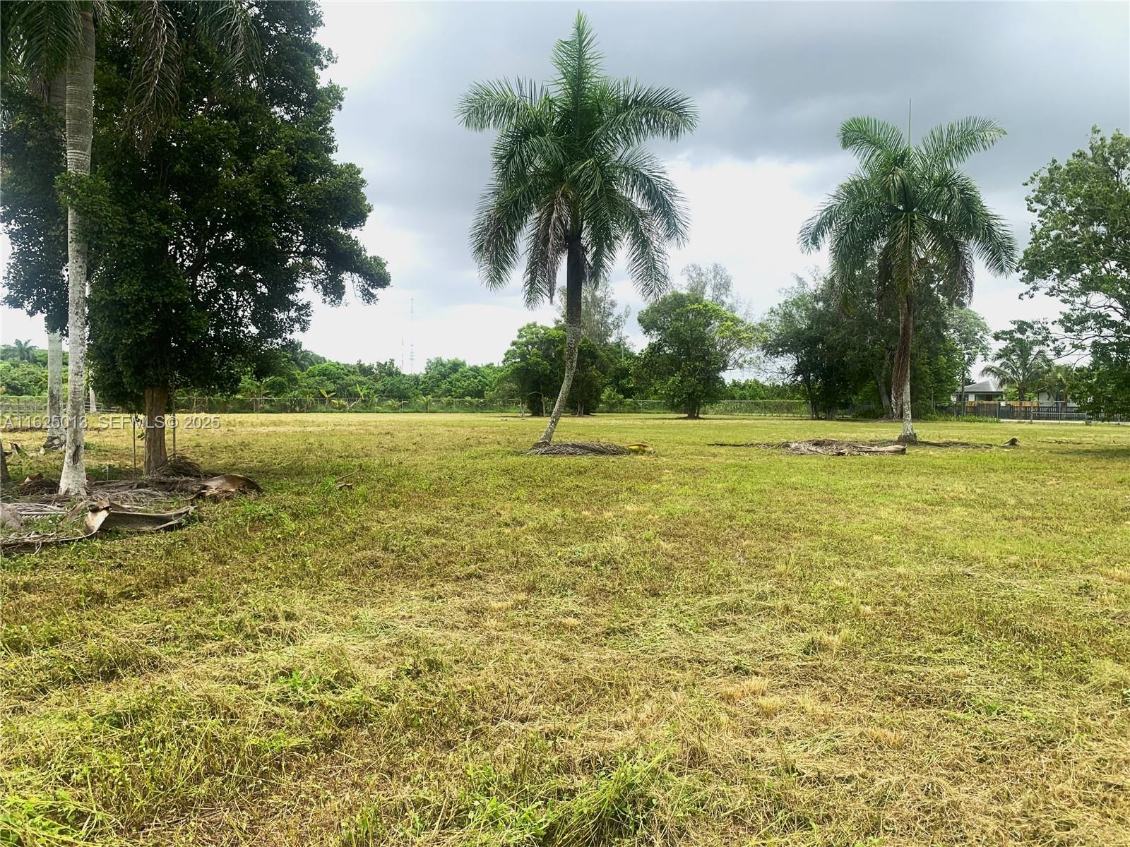 22750 Southwest 154th Avenue Miami, FL 33170 - Photo 24 of 37 a view of a swimming pool and a yard