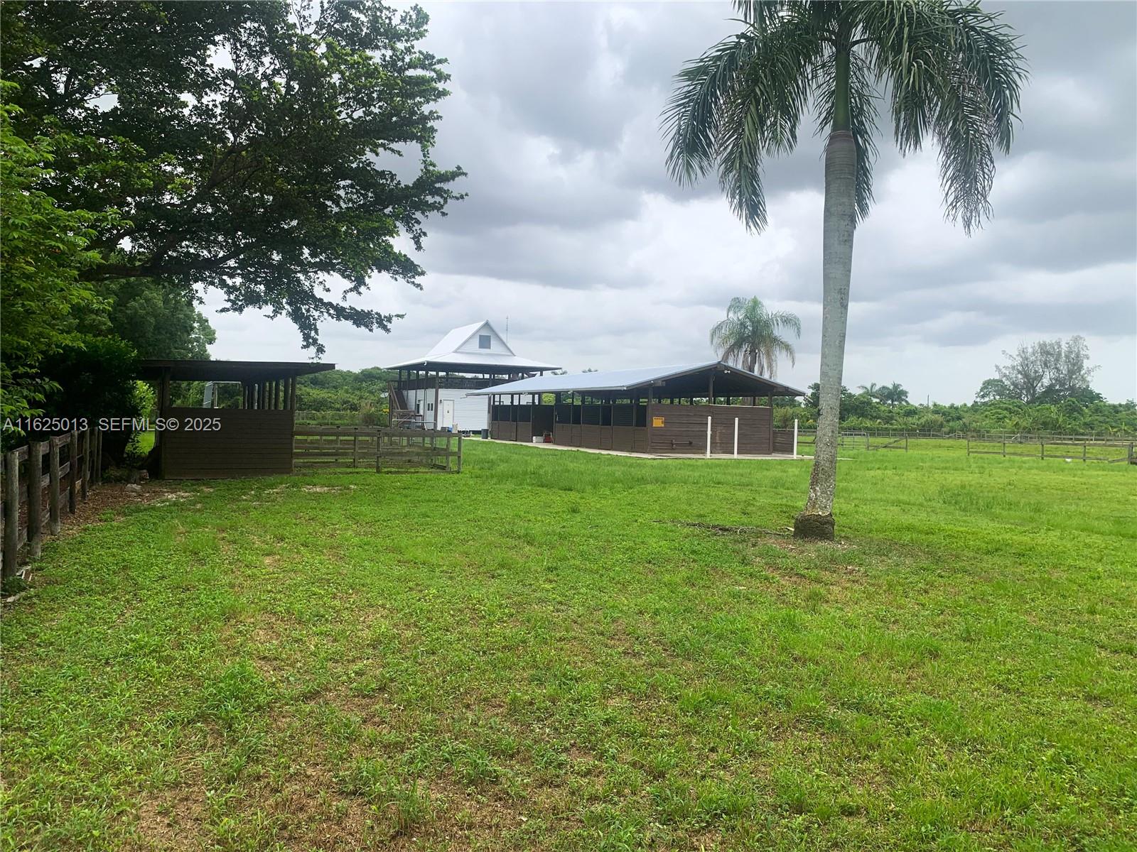22750 Southwest 154th Avenue Miami, FL 33170 - Photo 27 of 37 a view of a garden with a tree