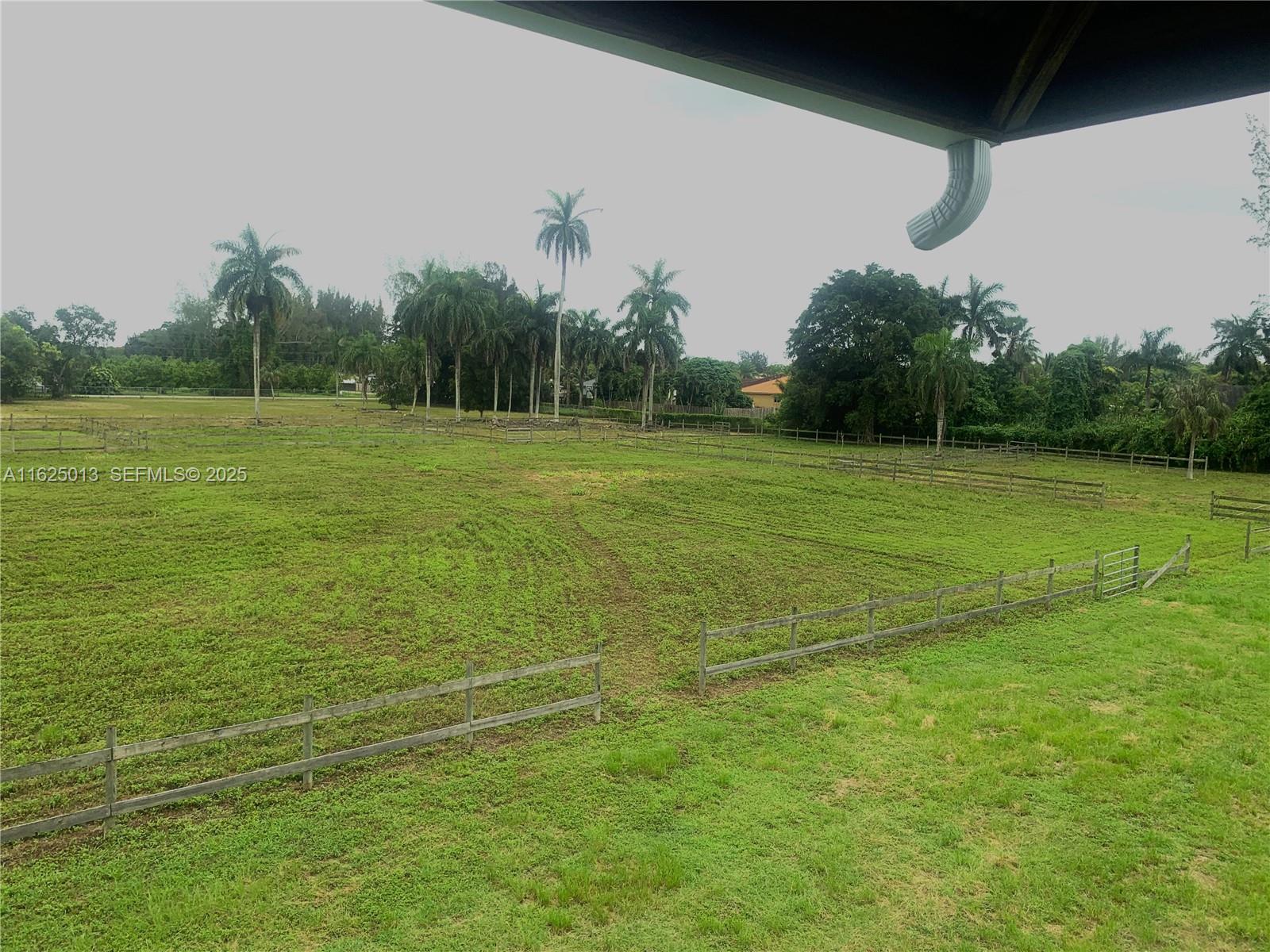 22750 Southwest 154th Avenue Miami, FL 33170 - Photo 3 of 37 a view of a field with an trees in the background