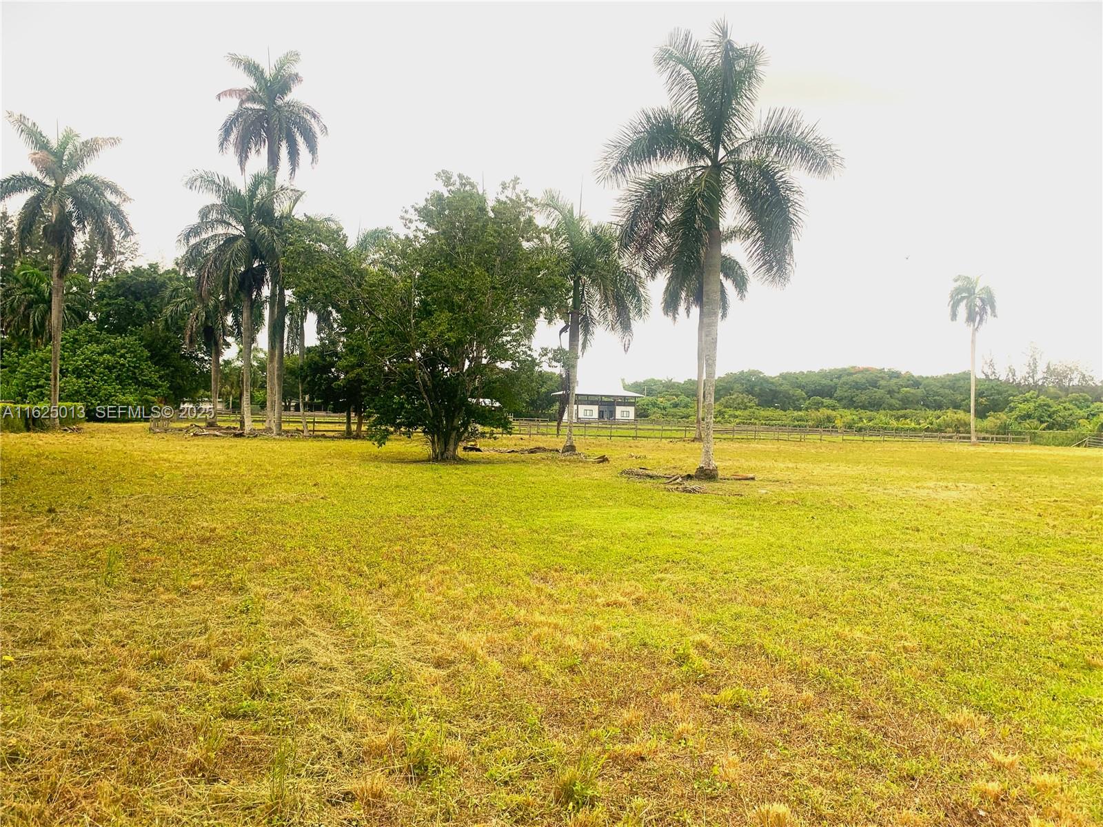 22750 Southwest 154th Avenue Miami, FL 33170 - Photo 31 of 37 a view of a swimming pool with a table and chairs