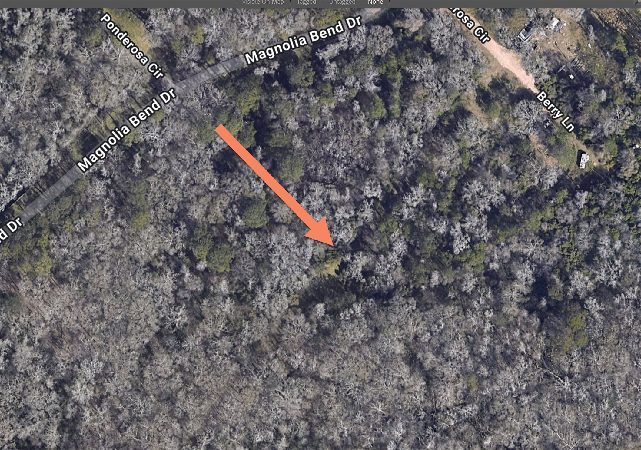 0 Berry Lane Conroe, TX 77302 - Photo 3 of 6 a view of under a tree