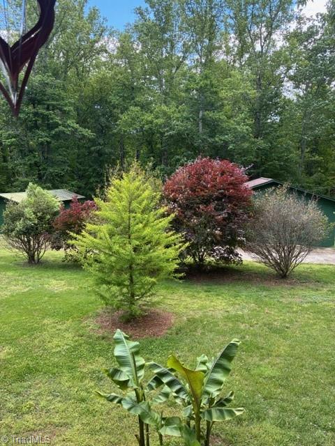 2285 Locust Grove Road Westfield, NC 27053 - Photo 24 of 32 SHRUBS/TREES