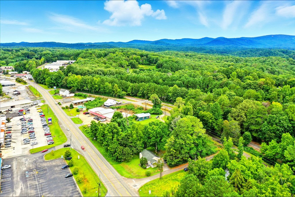 1003 East Church Street Jasper, GA 30143 - Photo 23 of 27 a view of a city with tall buildings